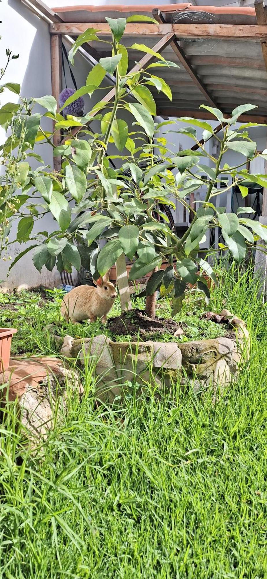 Wayra Hospedaje Cajamarca Zewnętrze zdjęcie